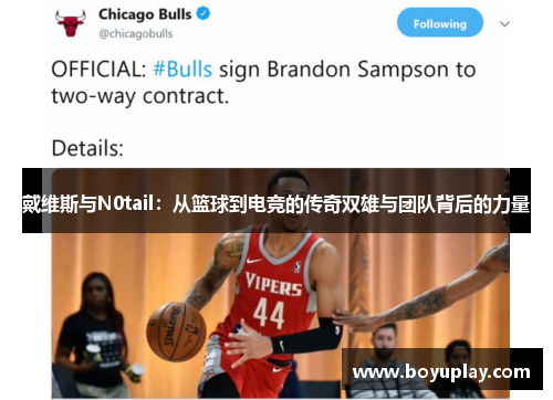 戴维斯与N0tail：从篮球到电竞的传奇双雄与团队背后的力量